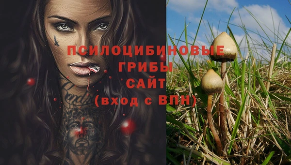 твердый Верхний Тагил